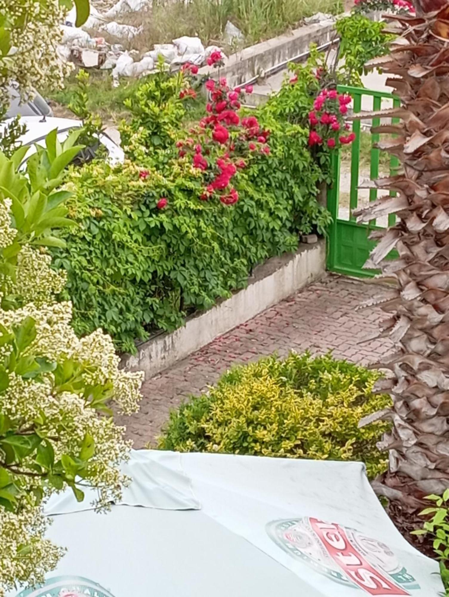 A-Vila Golem  Exterior photo